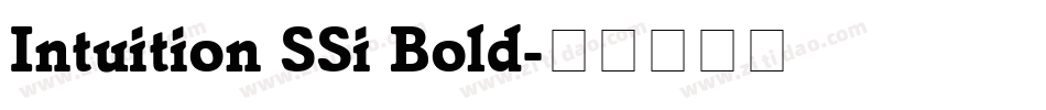 Intuition SSi Bold字体转换